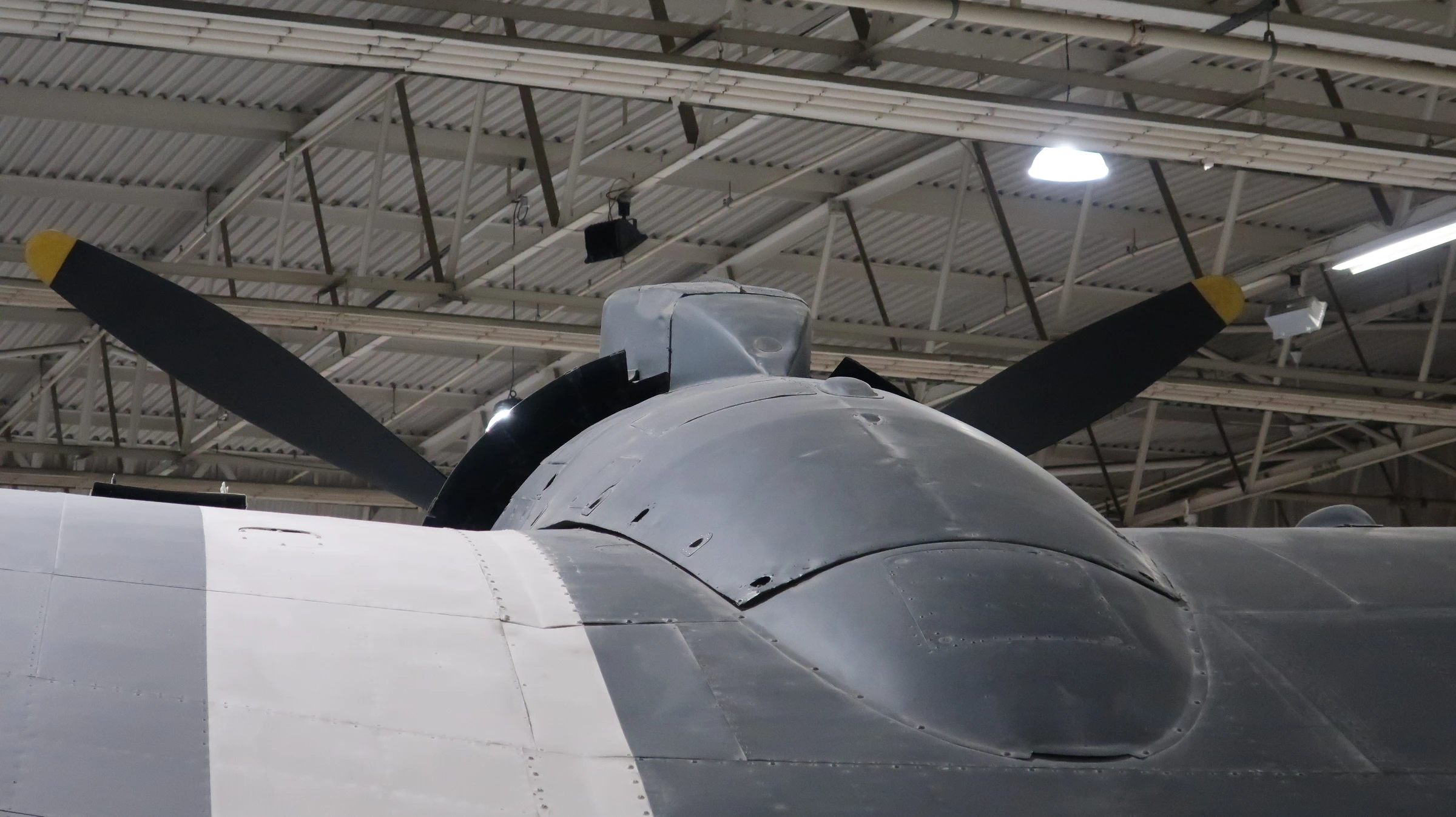 Bristol Beaufighter TF.X