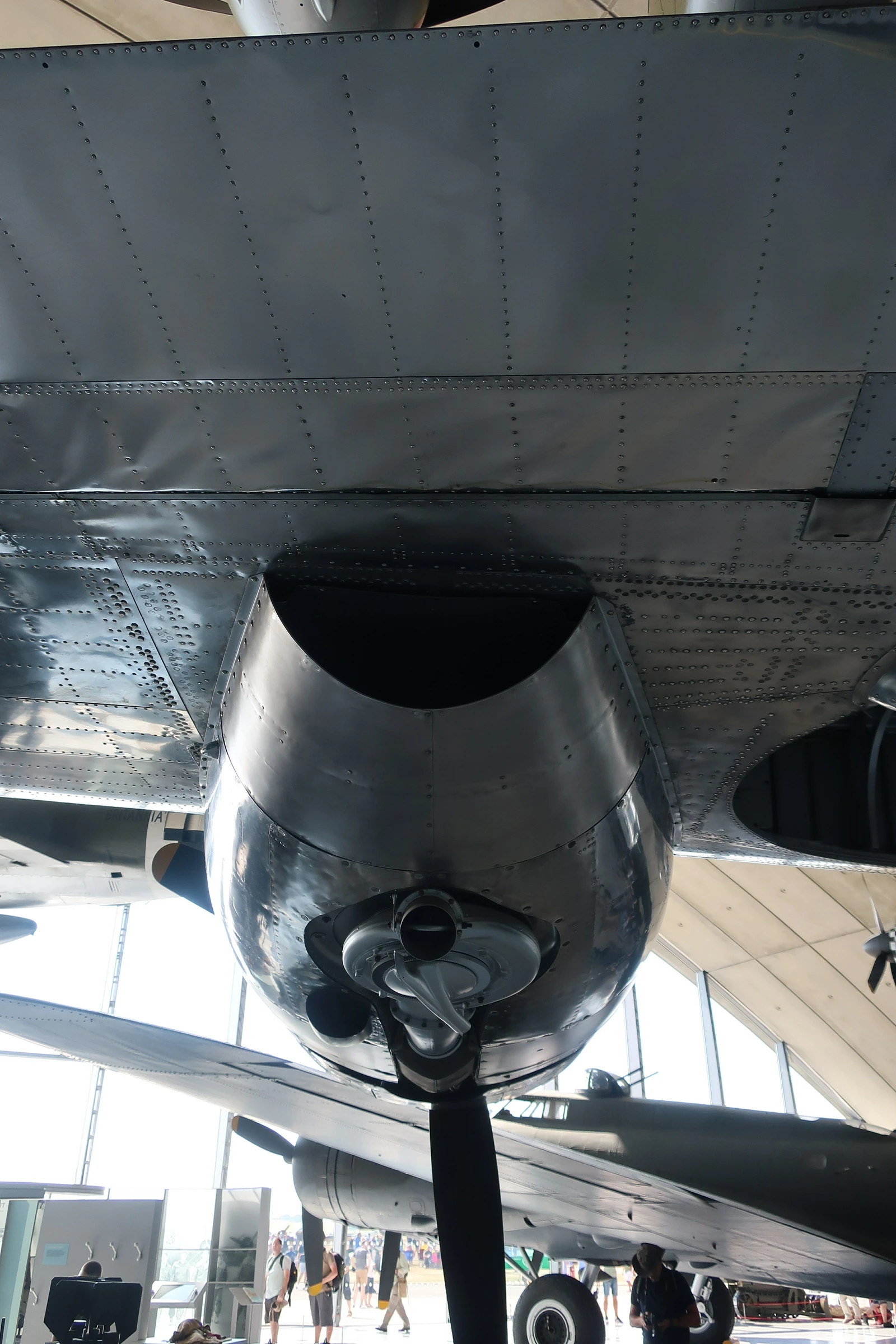 Consolidated B 24M Liberator