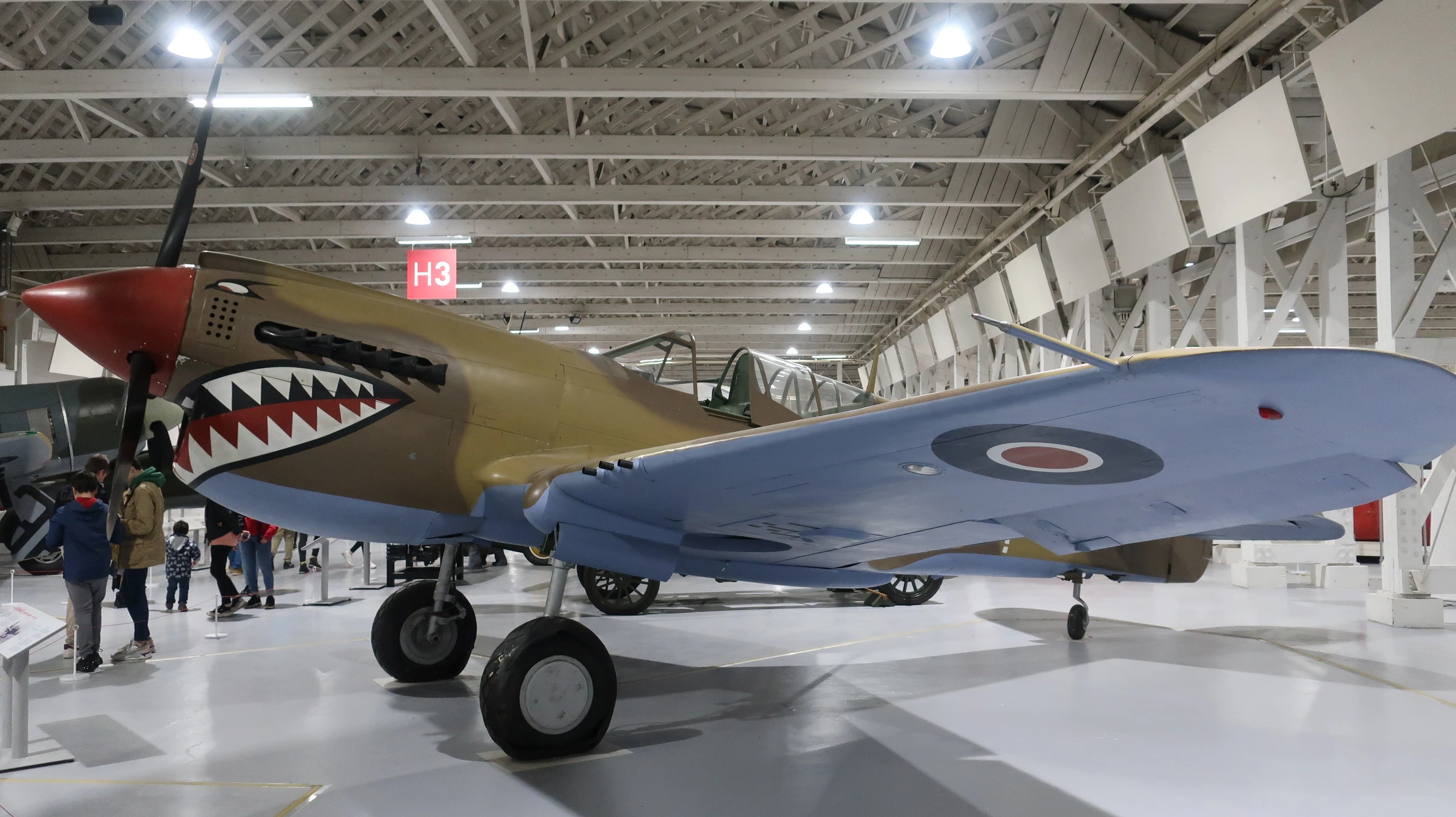 Curtiss Kittyhawk IV