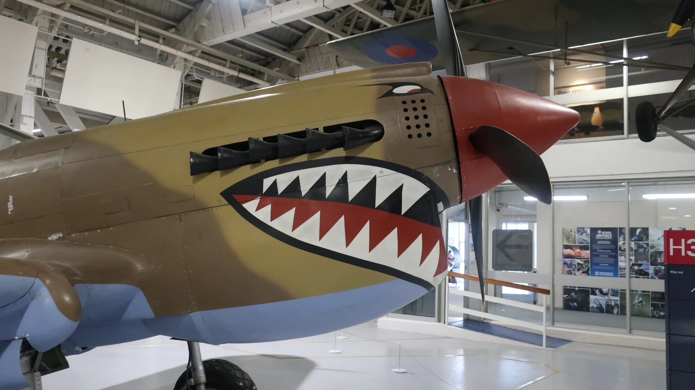 Curtiss Kittyhawk IV