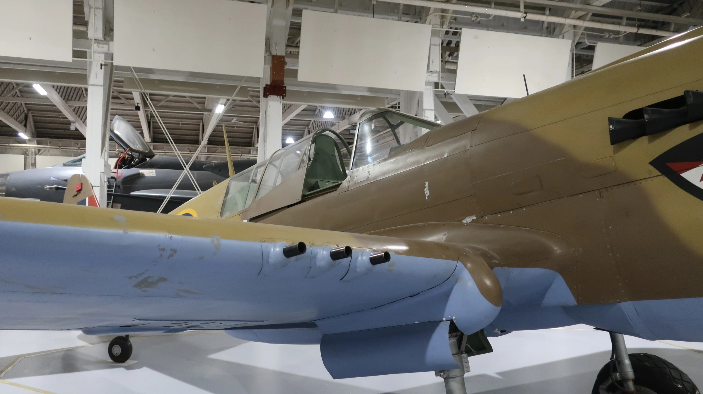 Curtiss Kittyhawk IV