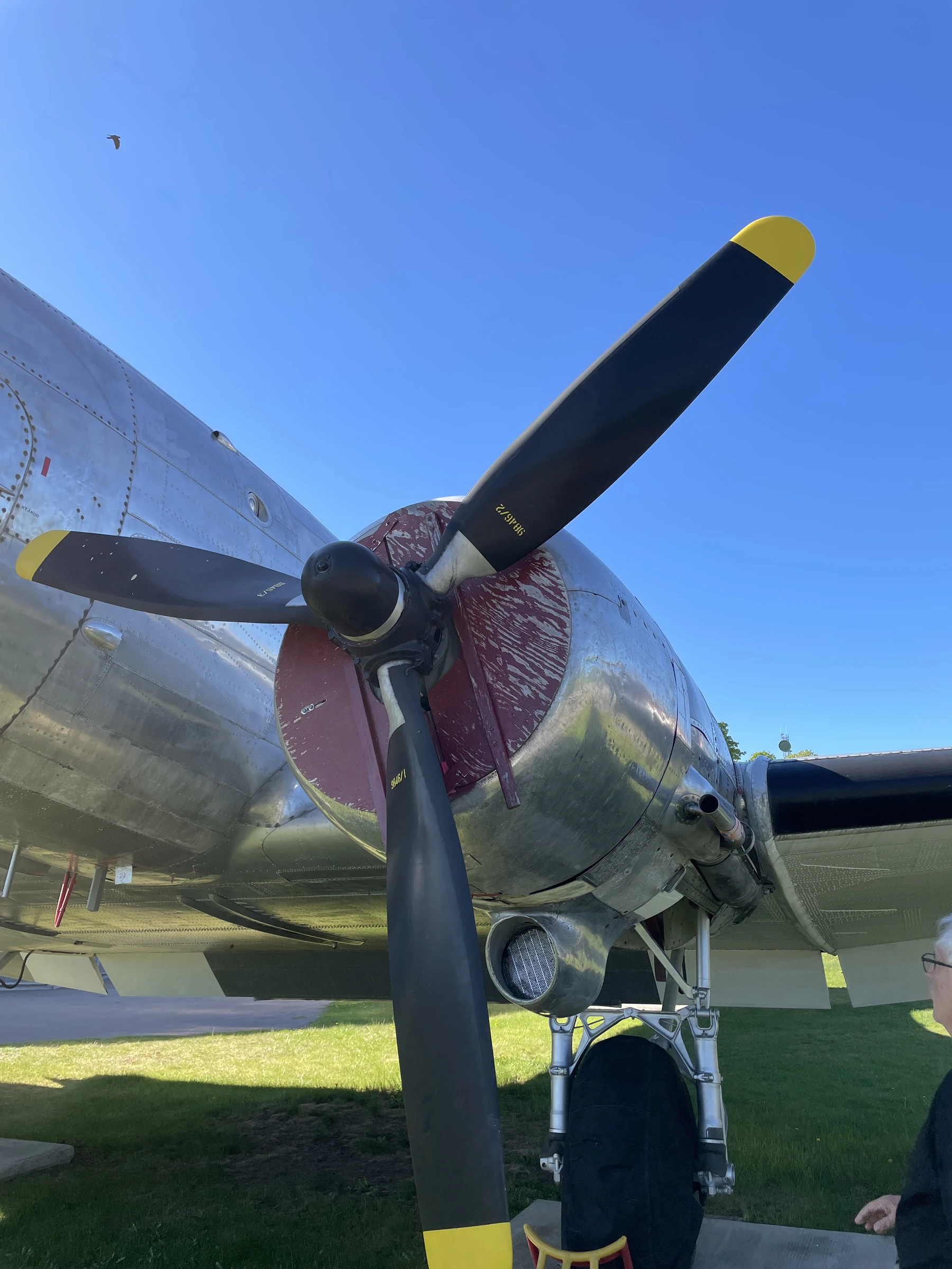 Douglas C 47A Skytrain (Tp 79)
