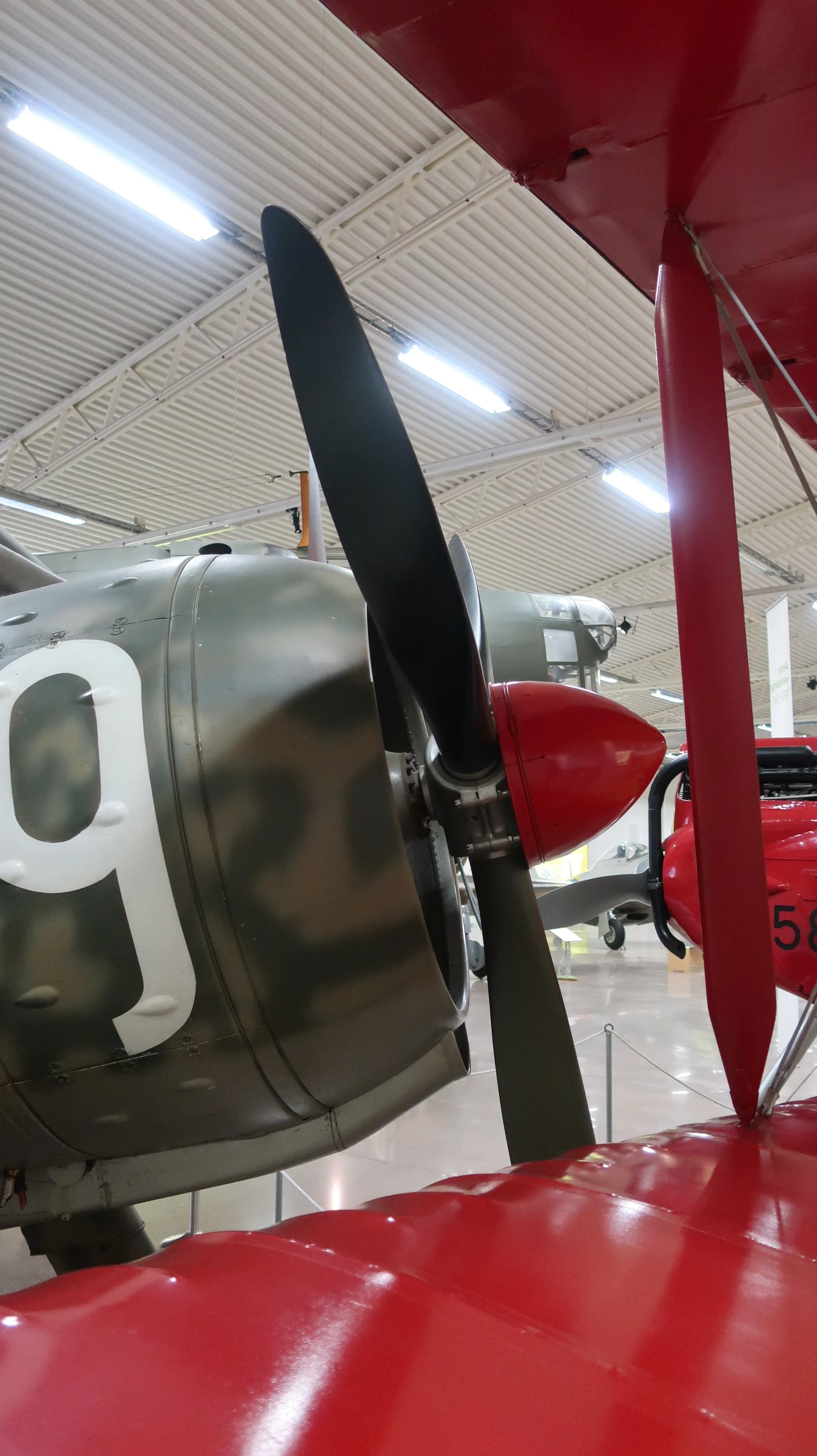 Fiat CR.42 Falco (J 11)