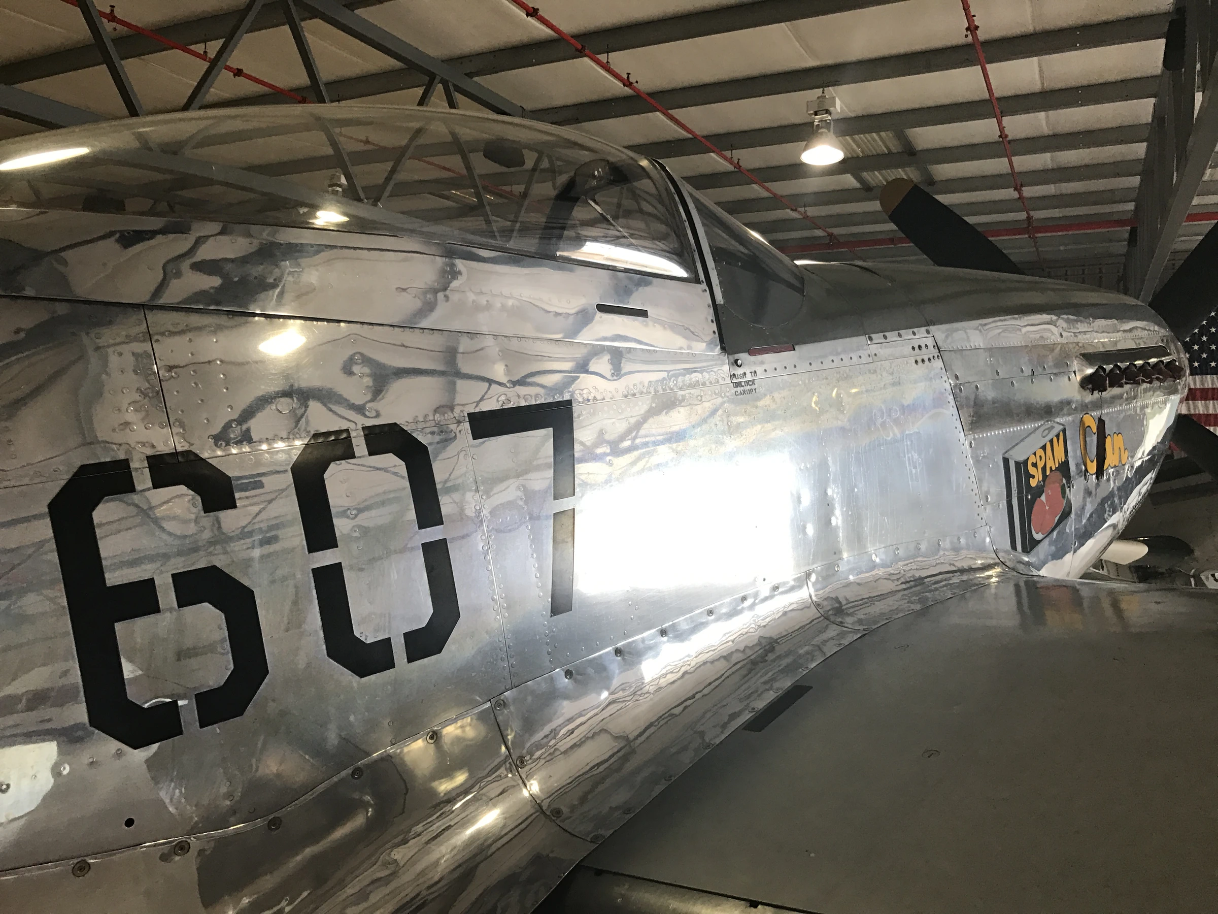 North American P 51D Mustang (124 48335)
