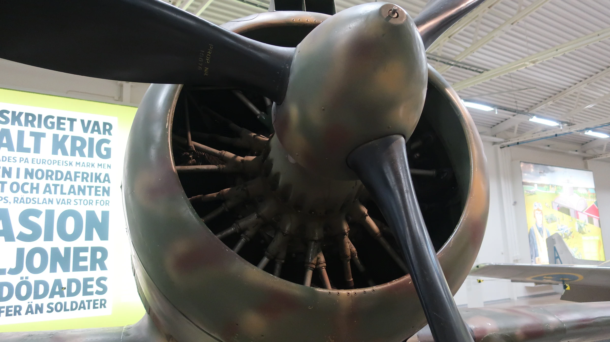 Reggiane Re.2000 (J 20)