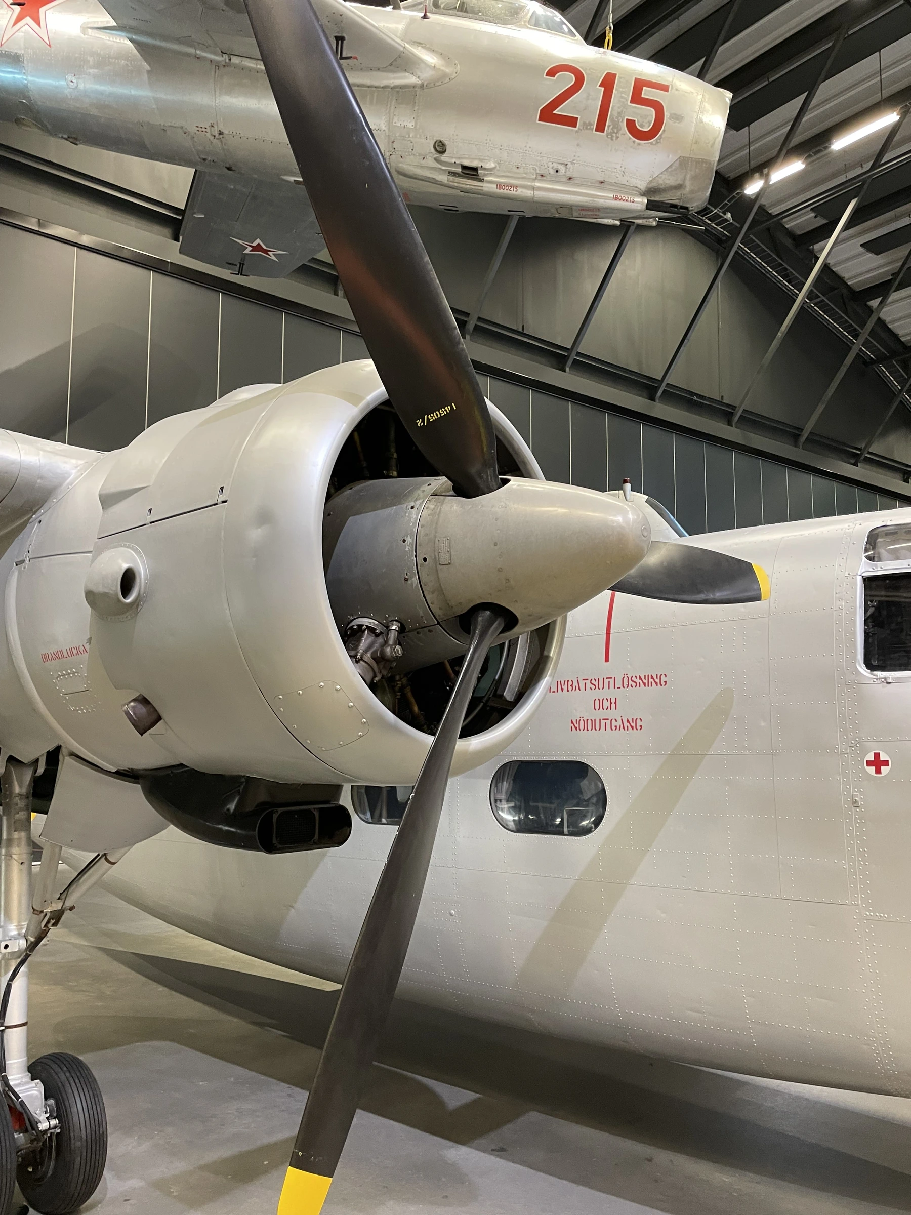 Scottish Aviation Pembroke C.1 (Tp 83)