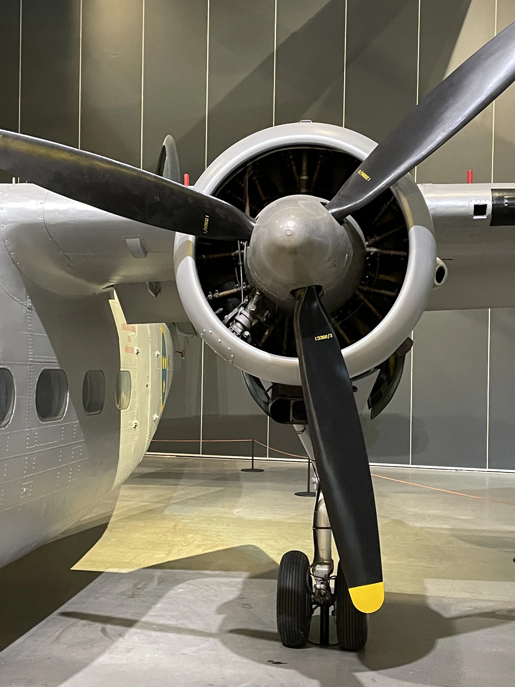 Scottish Aviation Pembroke C.1 (Tp 83)