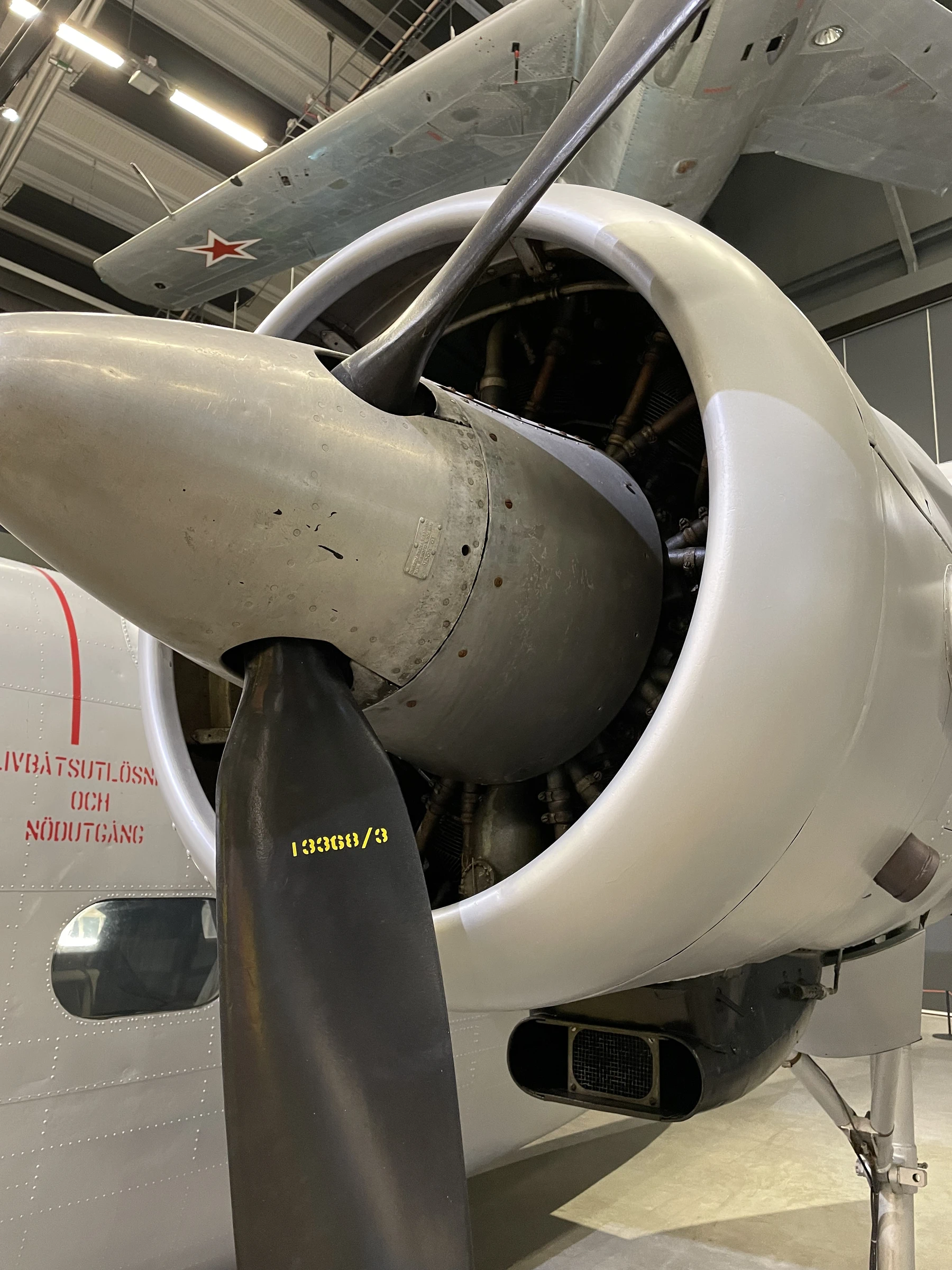 Scottish Aviation Pembroke C.1 (Tp 83)