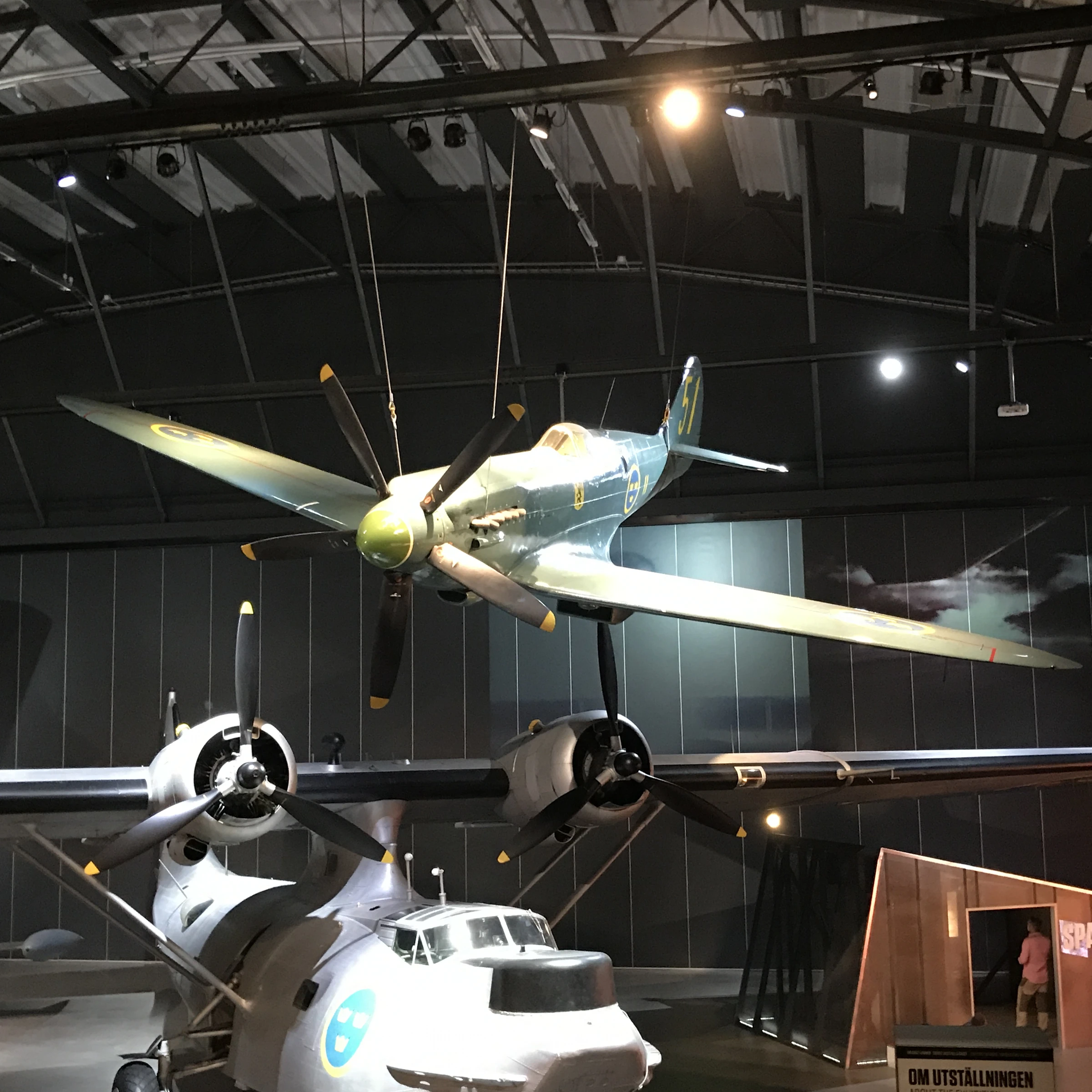 Supermarine Spitfire PR Mk XIX (S 31)