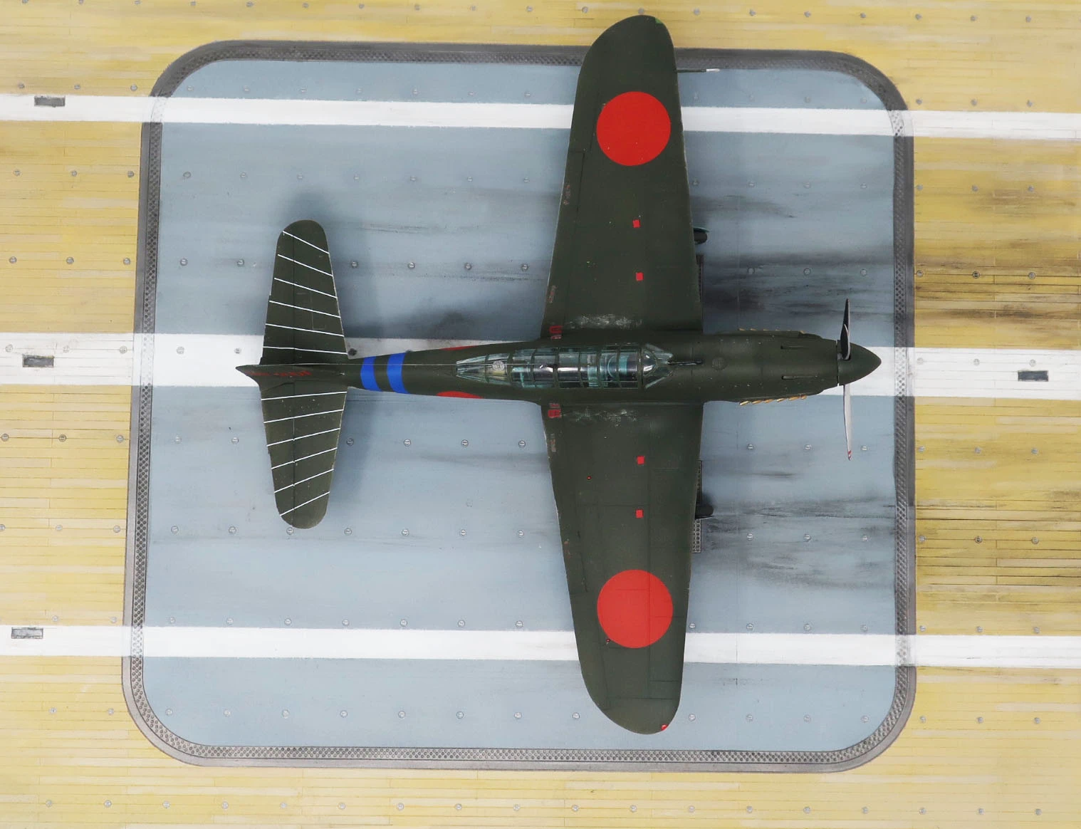 Yokosuka D4Y1 C Judy